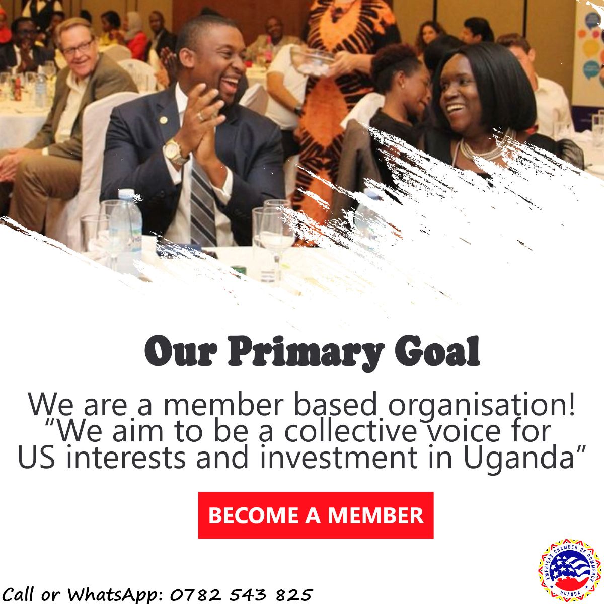 AmCham Uganda Strategy